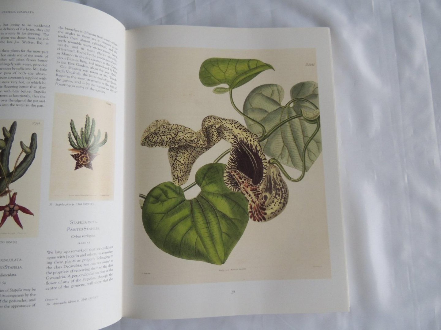RIX, Martyn (introduction by) - Art in Nature. Over 500 Plants illustrated from Curtis's Botanical Magazine.