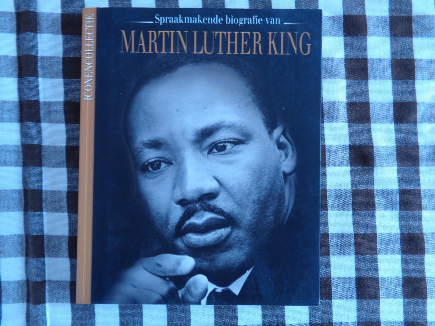 anneke drijver - martin luther king