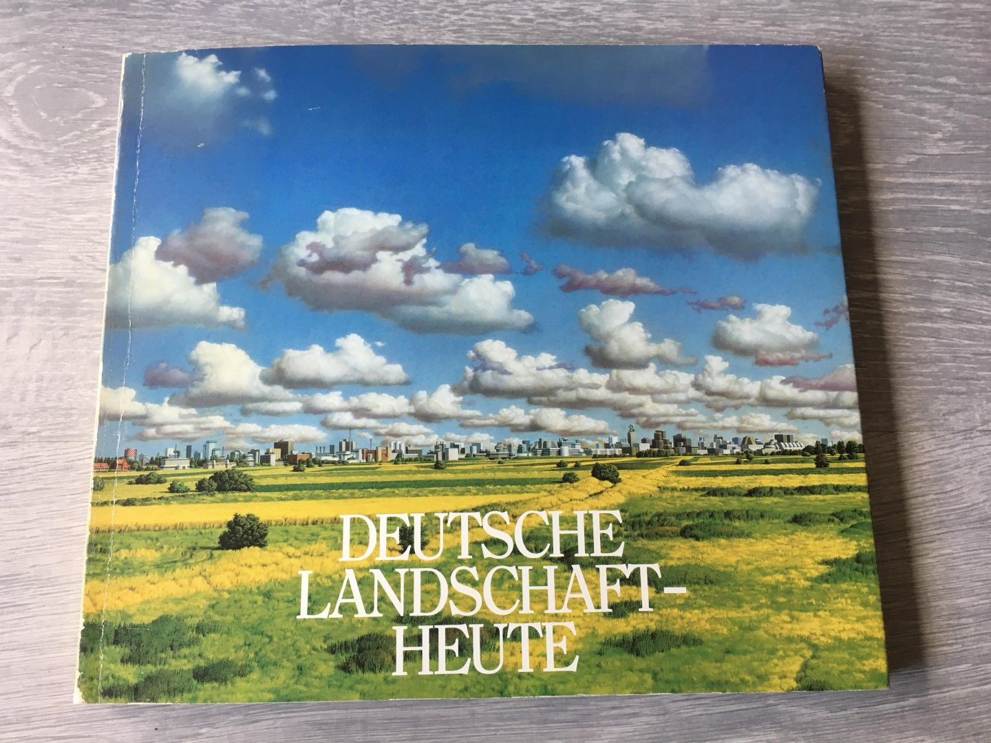 Berliner kunstverein - Deutsche landschafthaute