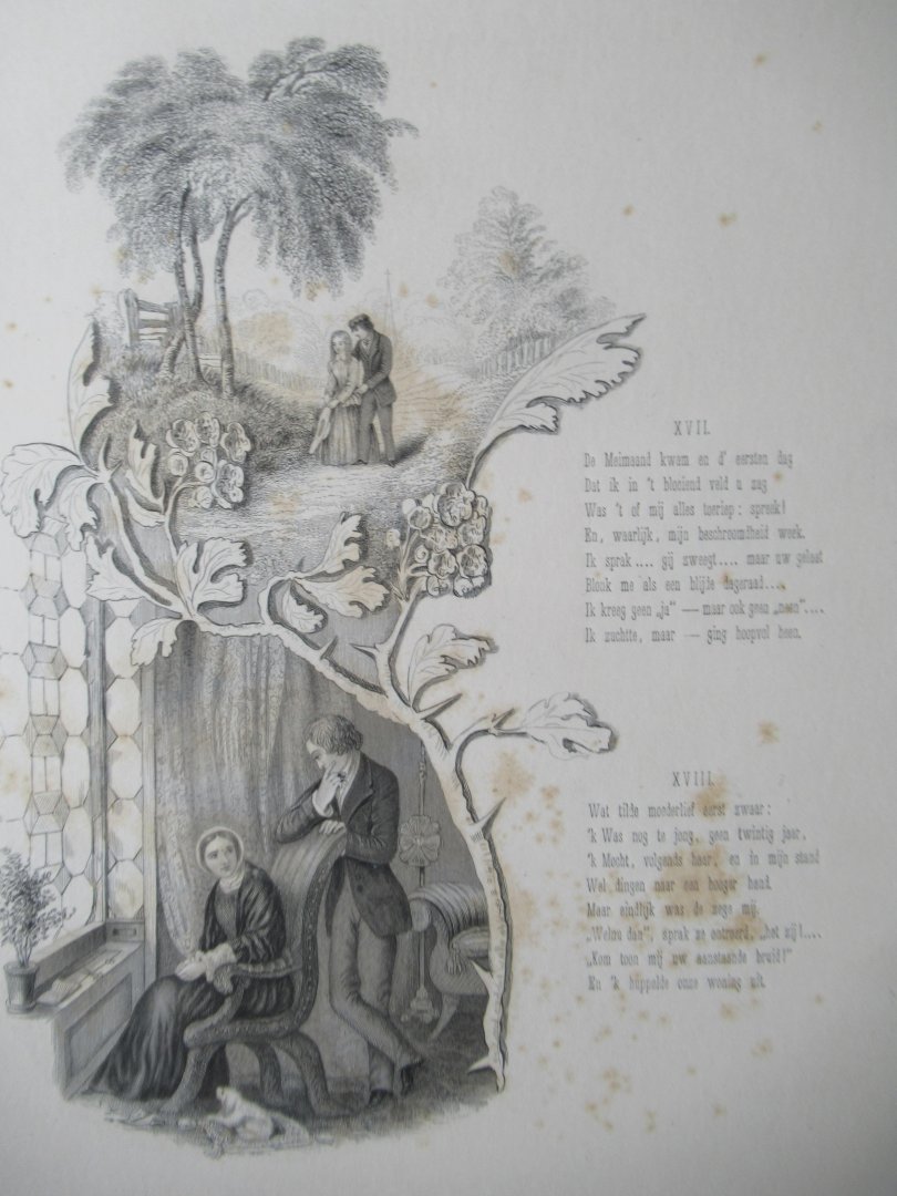 Bull, A.J. de - De molenaarsdochter, Vrij naar Alfred Tennyson,