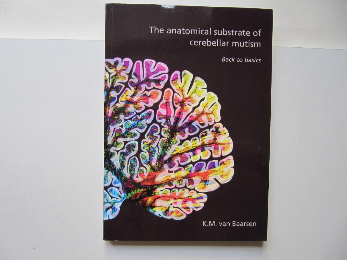 K.M. van Baarsen - The anatomical substrate of cerebellar mutism - Back to basics