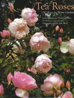 CHAPMAN, LYNNE / DRAGE, NOELENE / DURSTON, DI / JONES, JENNY / MERRIFIELD, HILLARY / WEST, BILLY - Tea roses. Old roses for warm gardens