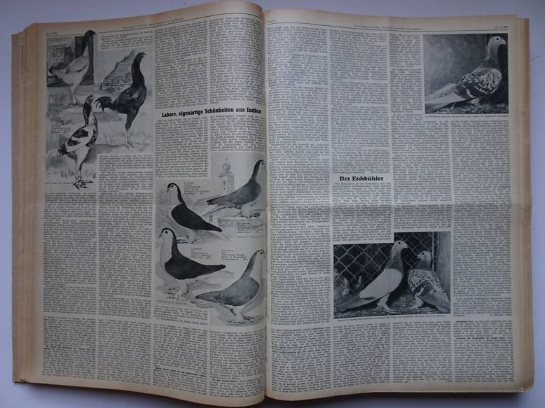  - Geflügel - Börse. Westdeutsche Ausgabe. Organ des Bundes deutscher Rassegeflügelzüchter. 1962, 1963, 1964.