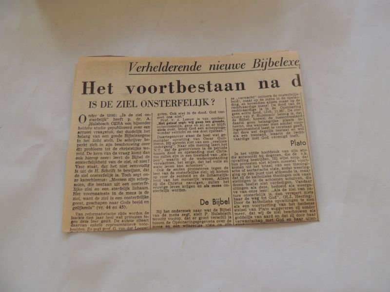 SCHUTTE Leonard J. - De zin der onsterfelijkheid; aangewezen in het verband eener theorie der menschelijke bewustheid