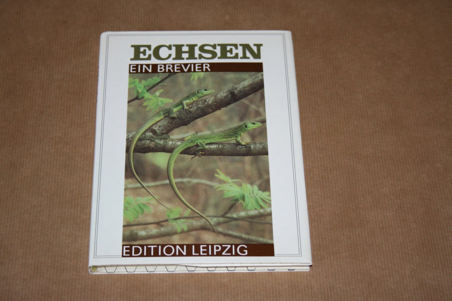 G. Peters - Echsen --  Ein Brevier