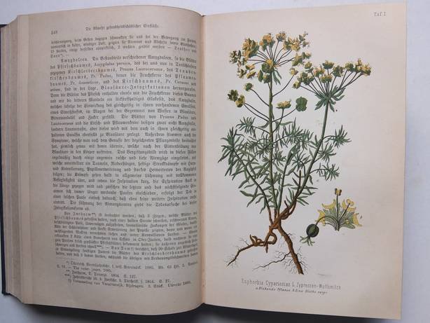 Dammann, Carl. - Die Gesundheitspflege der landwirtschaftlichen Haussäugetiere. Praktisches Handbuch.