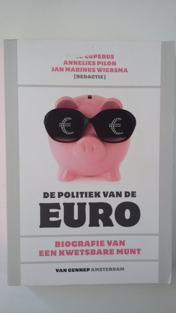 Cuperus, Rene, Pilon, Annelies, Wiersma, Jan Marinus - De politiek van de euro / biografie van een kwetsbare munt