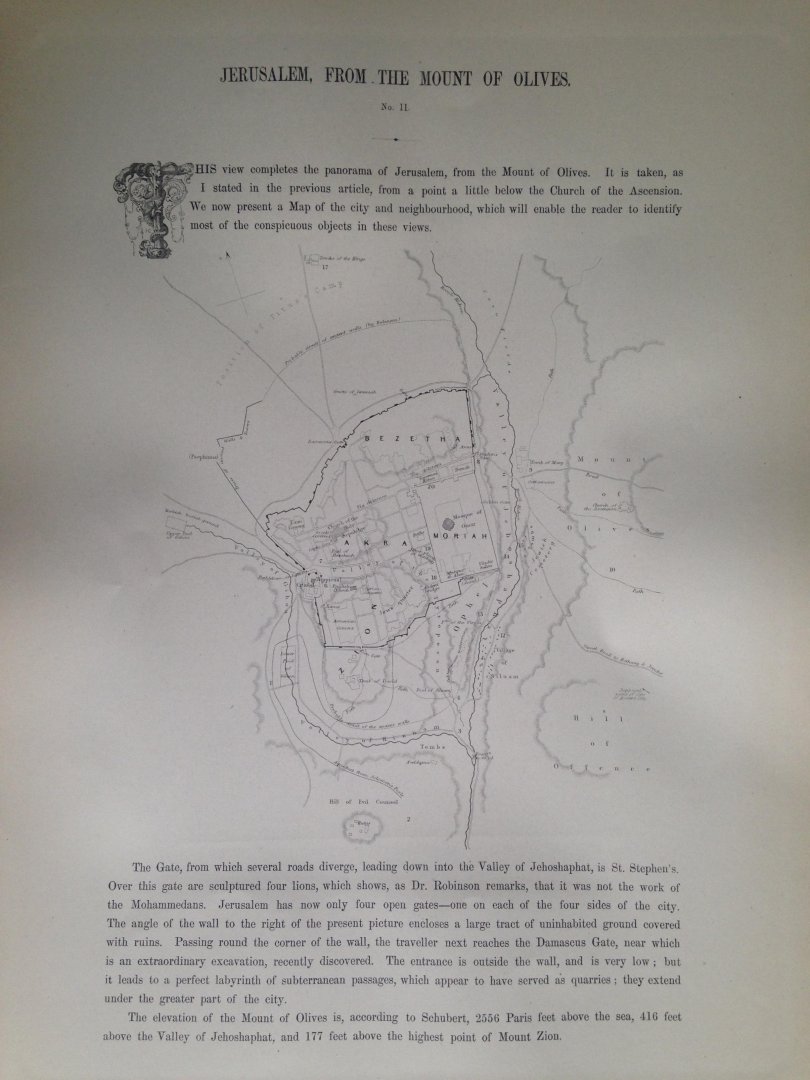 Frith, Francis - Jerusalem, From the Mount of Olives, no 2, Series Egypt and Palestine
