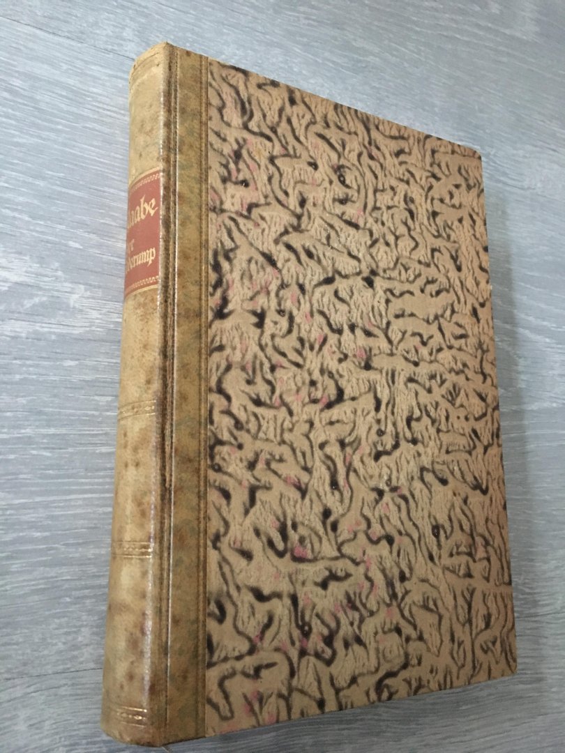 Wilhelm Raabe - Der schudderump