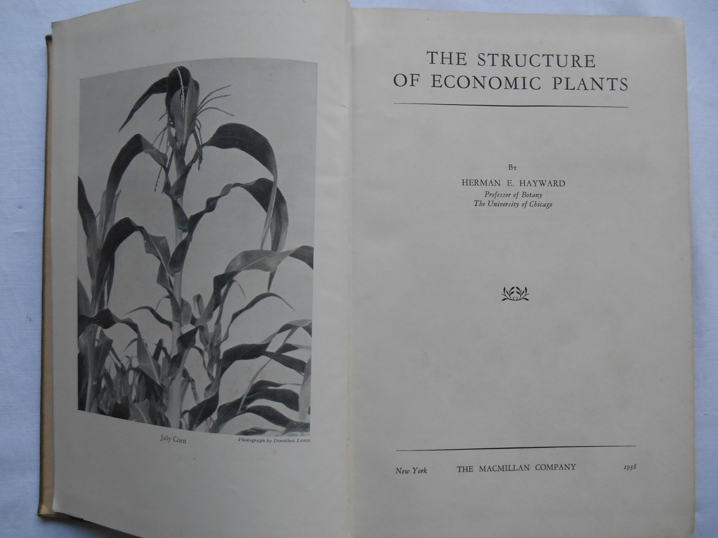 Hayward, Herman E. - The structure of economic plants