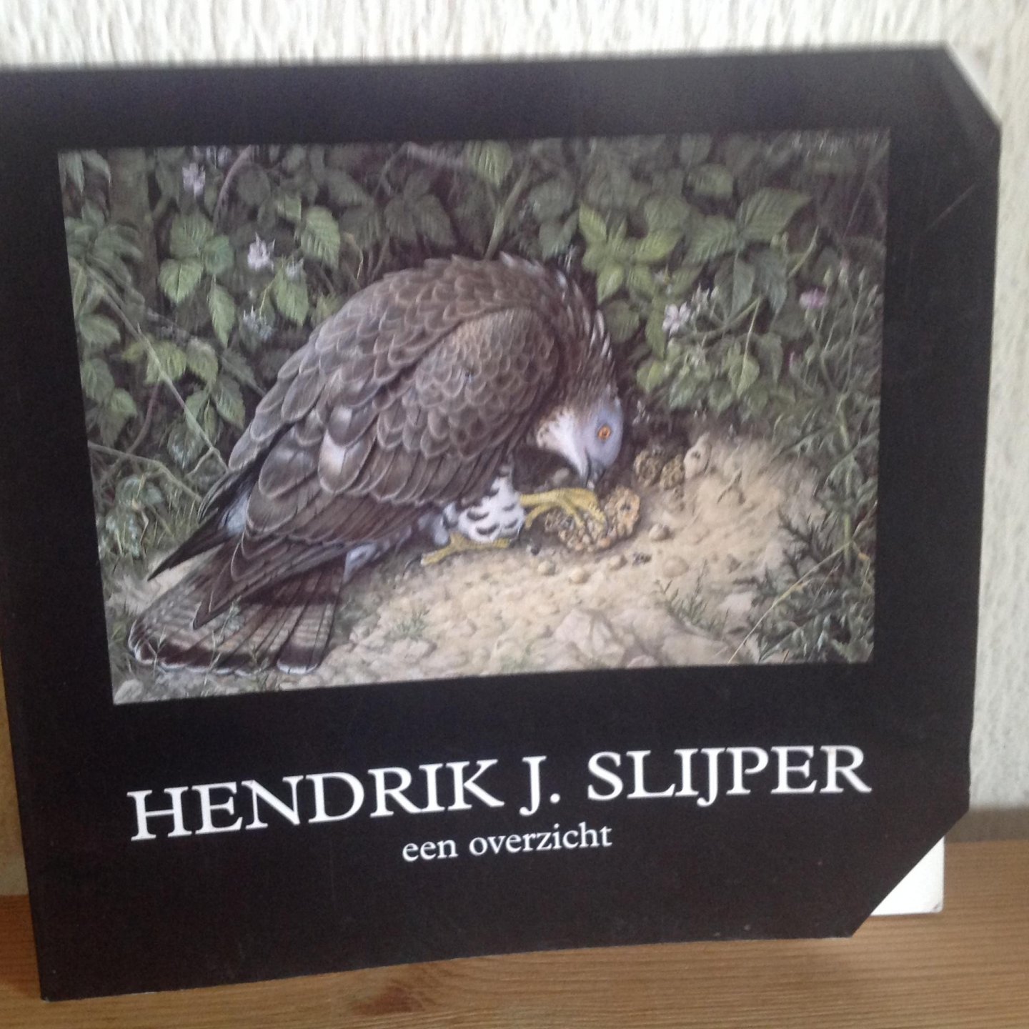 Slijper, H.J. - Hendrik J. Slijper / druk 1
