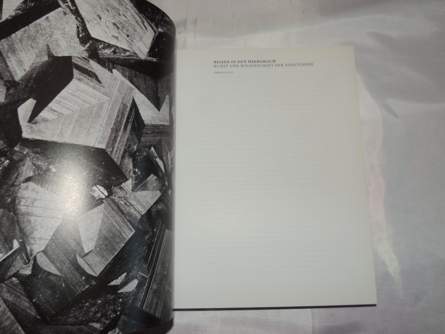 von Dirk Luckow - Petra Gördüren - Dopplereffekt. Bilder in Kunst und Wissenschaft