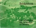 Houting, Edward (red) - Brinkenboek  , Een verkenning van de brinken Drenthe