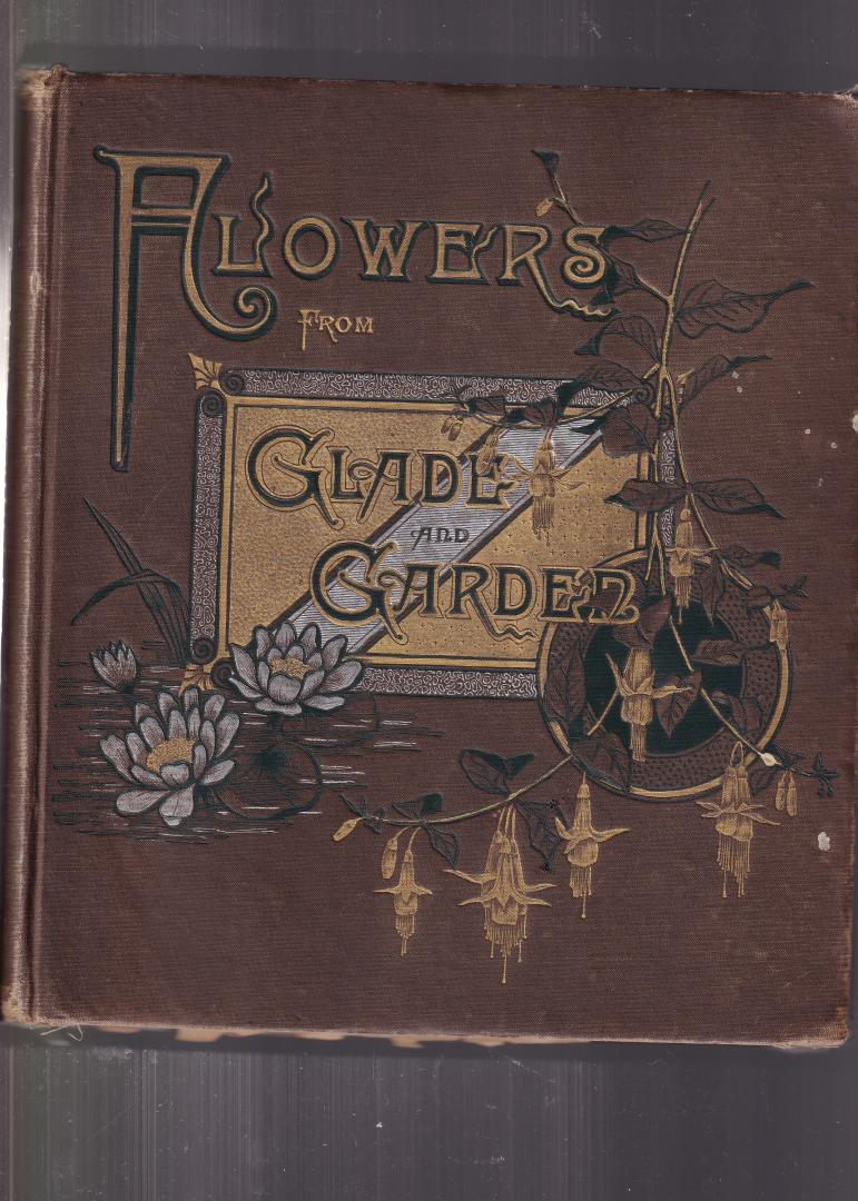 Barstow Skeeling Susie (arranged and illustrated) - Flowers from Glade and Garden