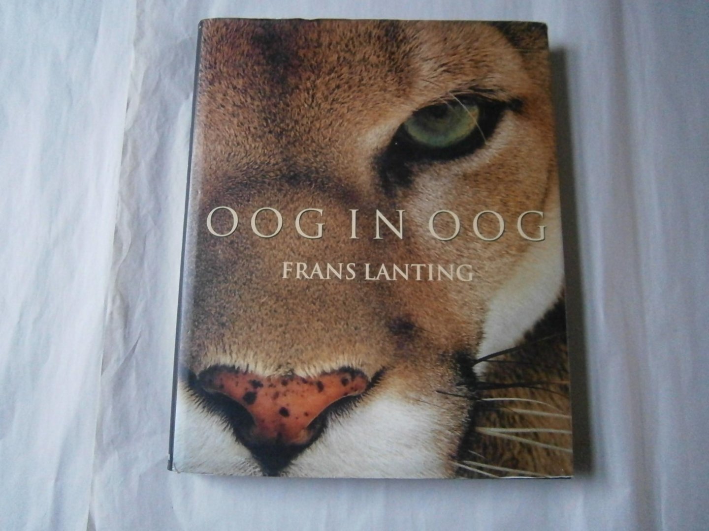 Lanting, Frans, Christine Eckstrom - Oog in oog