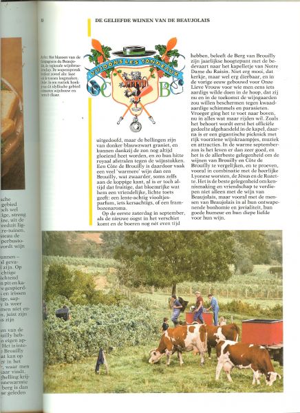 Born, Wina Foto's van Han Born, Jan Jonker en Peter van der Velde - Franse Wijnen. Een speurtocht door Frankrijk met Wina Born. Voor beginnende wijndrinkers en voor ervaren wijnliefhebbers.