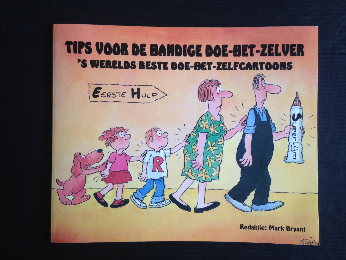 Bryant, Mark, redaktie - Tips voor de handige doe-het-zelver, ?s werelds beste doe-het-zelfcartoons