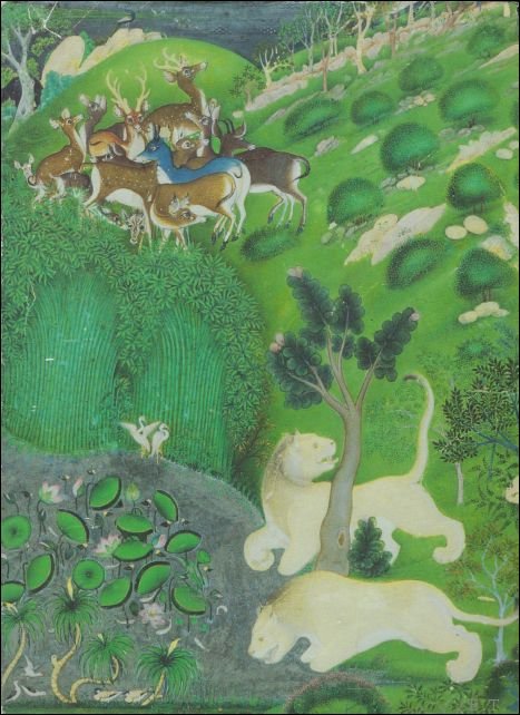 Leach, Linda York. - Indian Miniature Paintings and Drawings.