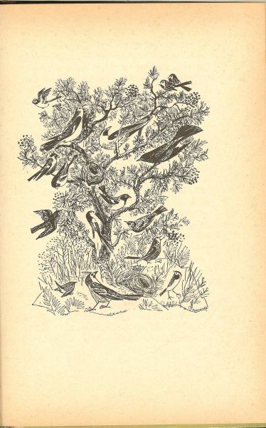 Hildebrand, A D en Prachtig geillustreerd door  Frans Hazeveld - De uittocht der dieren een boek uit de AP jeugdserie