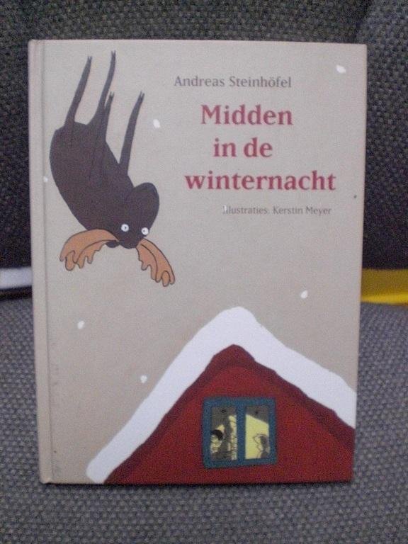 Steinhöfel, Andres - Midden in de winternacht