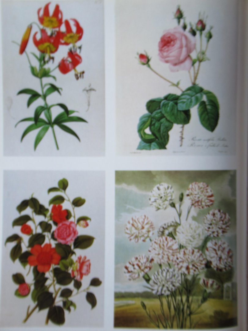 Thomas, Alan G. - Great books and book collectors