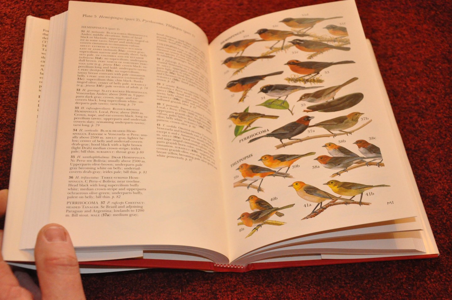 Isler, Morton L. / Isler, Phyllis R. - The Tanagers. Natural History, Distribution, and Identification