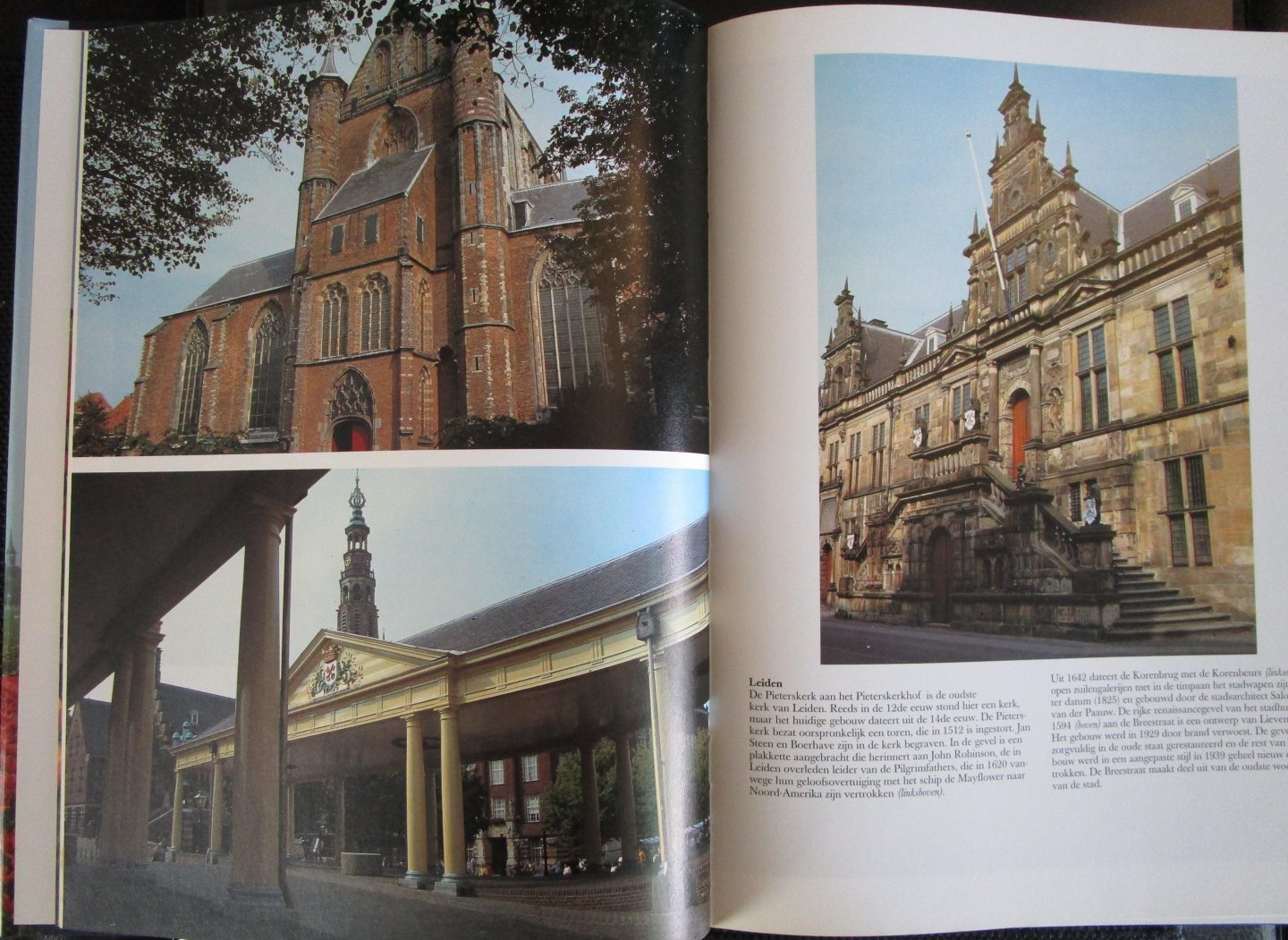 Land, Ton - DE SCHOONHEID VAN DE BOLLENSTREEK EN HOLLANDS MIDDEN