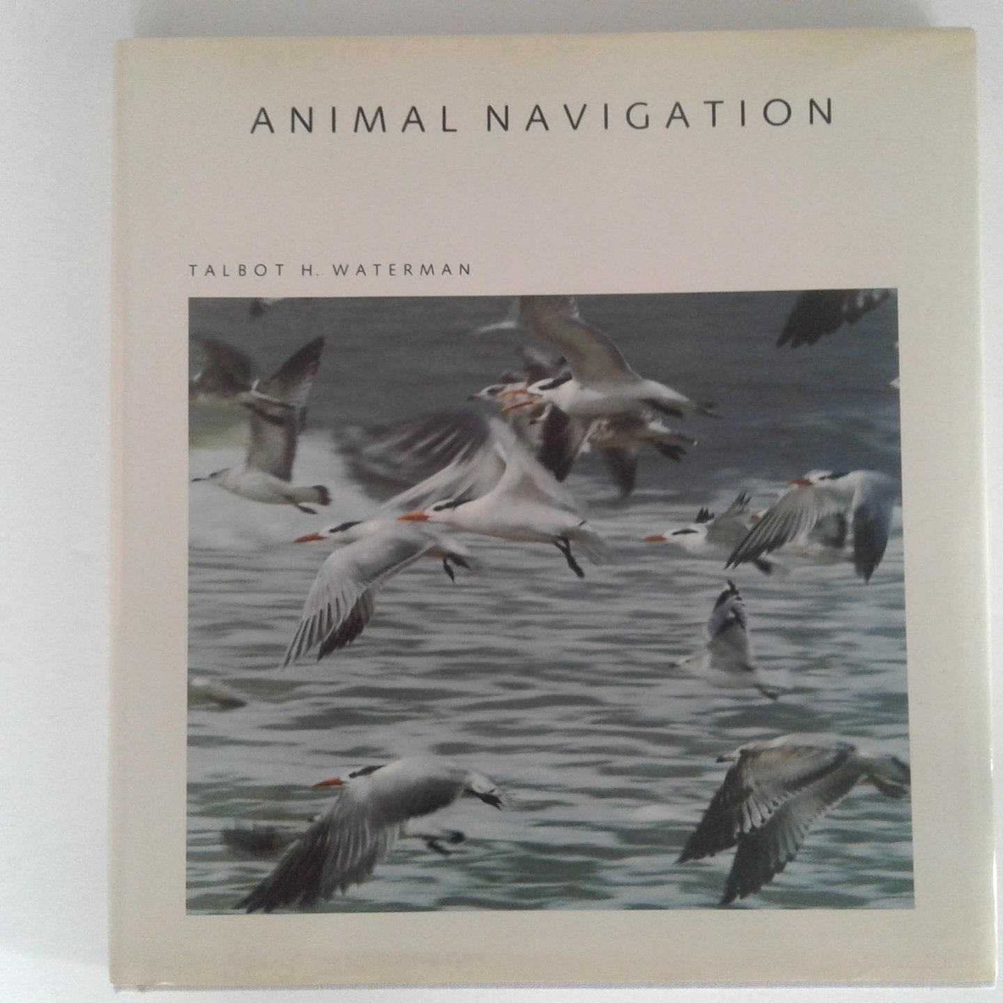 Waterman, Talbot H. - Animal Navigation