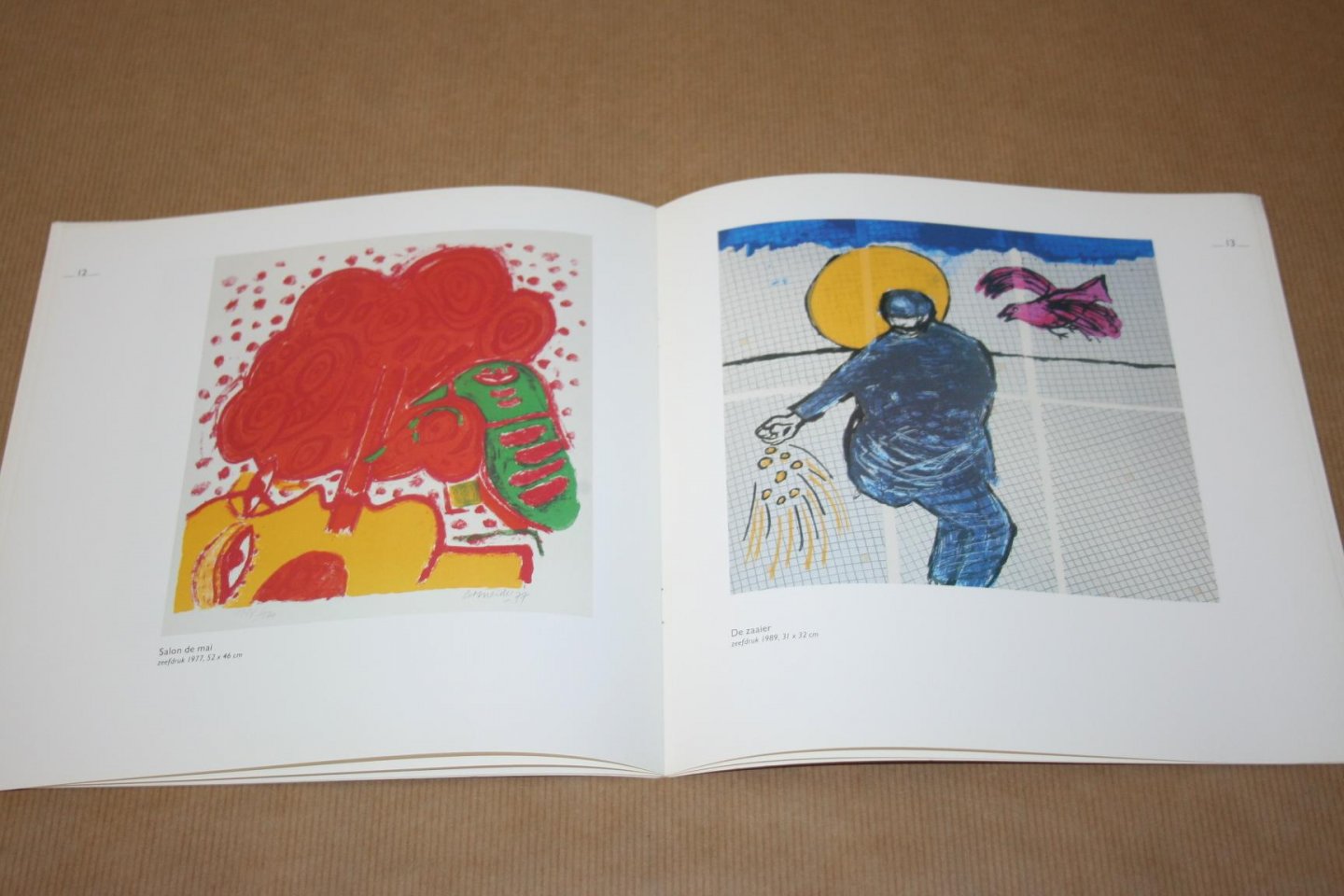  - Corneille in vogelvlucht