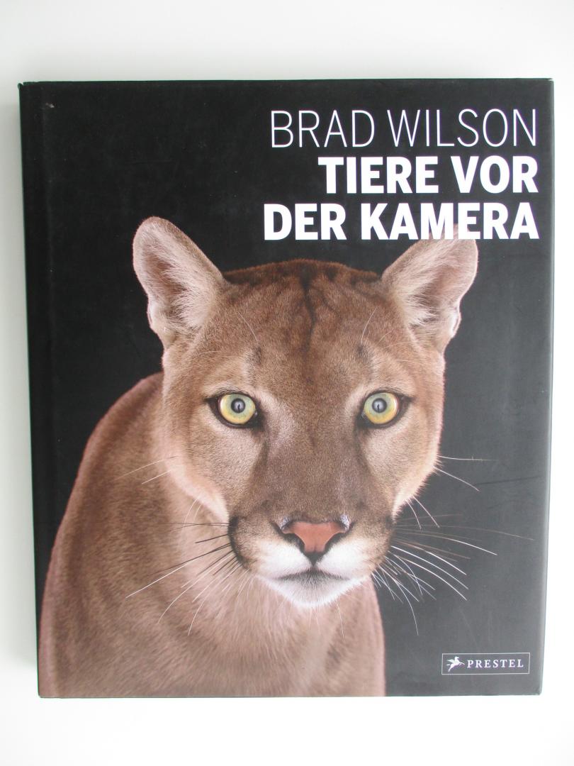 Wilson, Brad - Tiere vor der Kamera