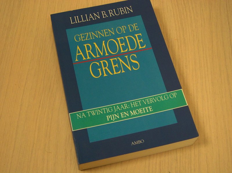 Rubin, Lillian B. - Gezinnen  op de armoedegrens