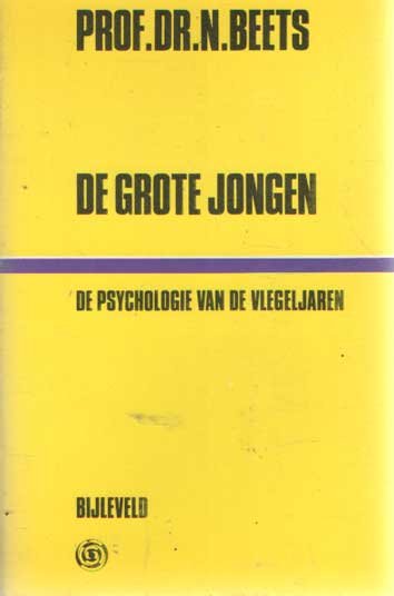 Beets, N. - De grote jongen: De psychologie van de jongen in de vlegeljaren.