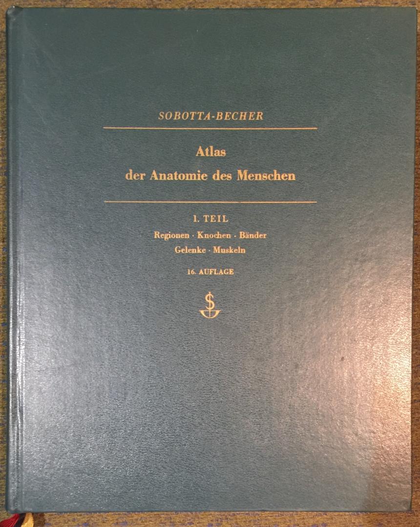Sobotta - Becher - Atlas der Anatomie des menschen 1.Teil
