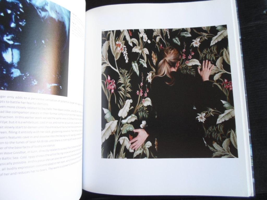 Sultan, Terrie & David Pagel, Colin Gardner, Claudia Schmuuckli - Damaged Romanticism, A Mirror of Modern Emotion
