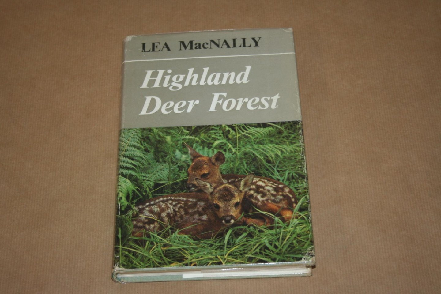 Lea MacNally - Highland Deer Forest