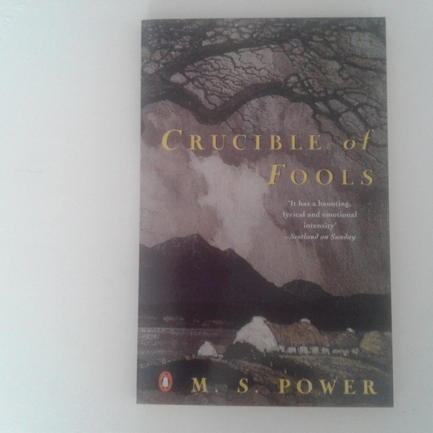 Power, M.S. - Crucible of Fools