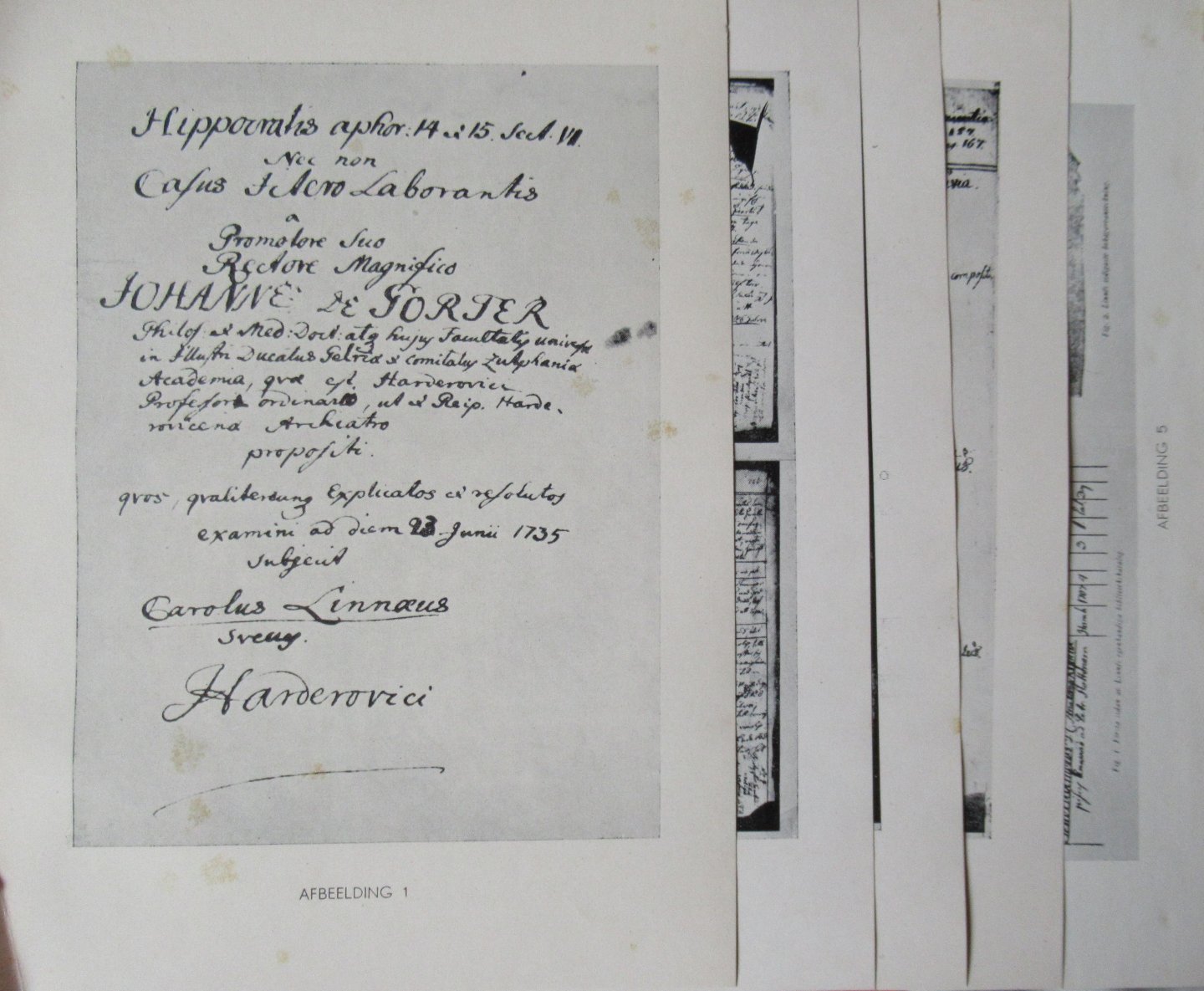 Boerman, Albert Johan - Carolus Linnaeus als middelaar tussen Zweden en Nederland