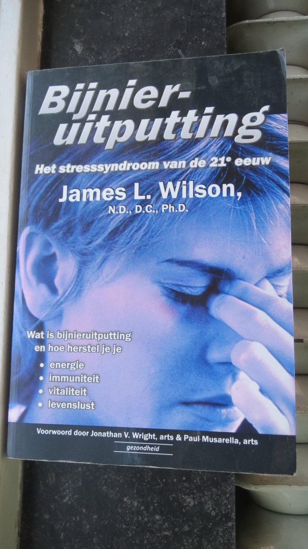 Wilson, James L. - Bijnieruitputting / het stresssyndroom van de 21e eeuw
