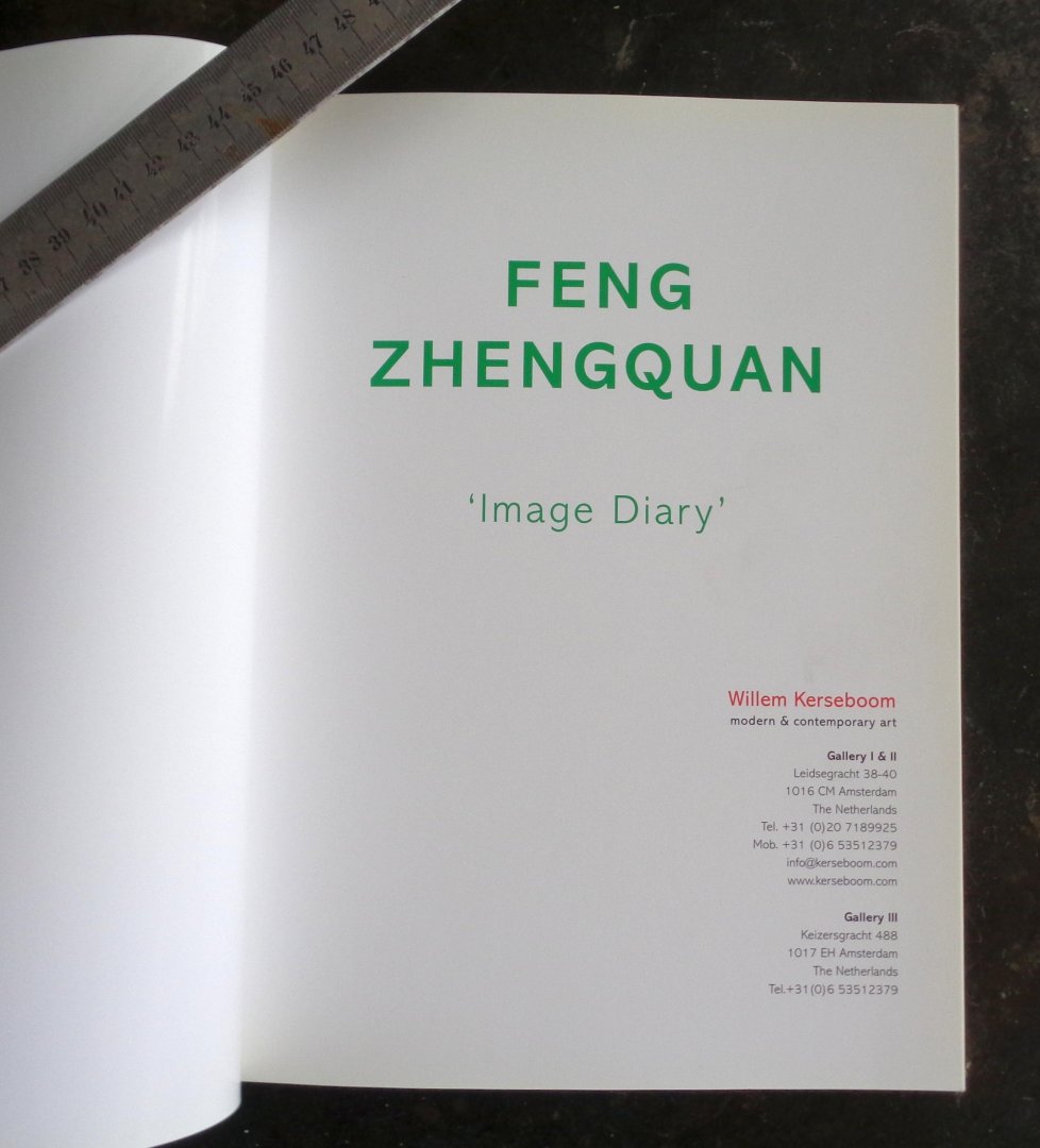  - Feng Zhengquan; Image Diary