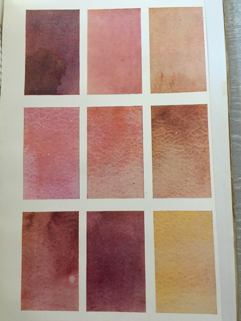 G. Alizarine - Aquarelleeren, aquareltechniek voor Architecten, Meubelontwerpers en Amateurschilders