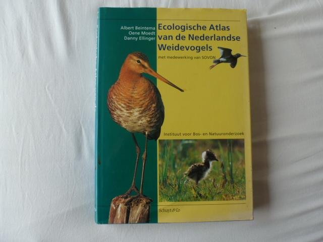 Beintema, A. - Ecologische atlas van de Nederlandse weidevogels / druk 1