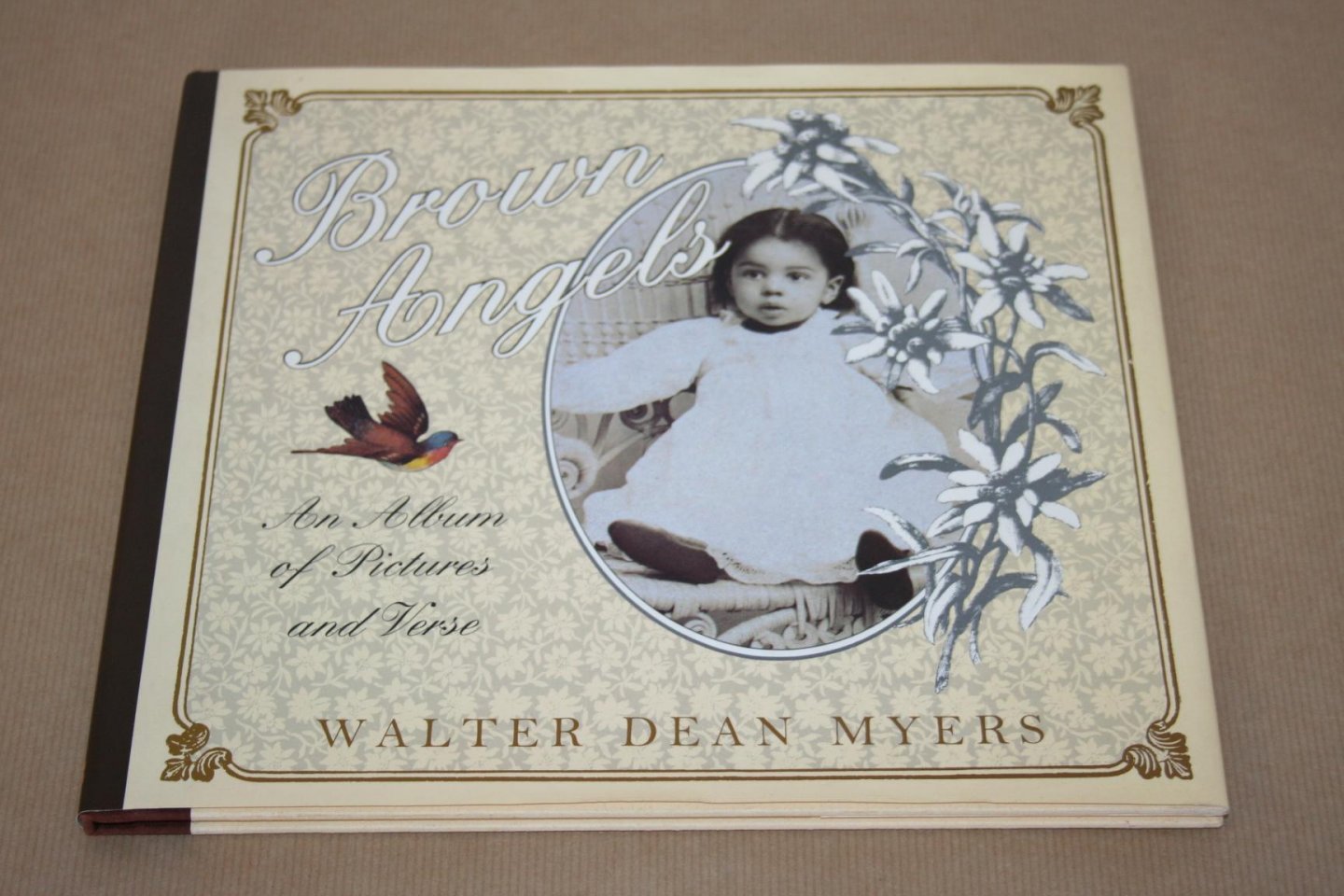 Walter Dean Myers - Brown Angels - An album of pictures and verse