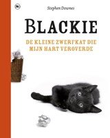 Blackie - de kleine zwerfkat die mijn hart veroverde