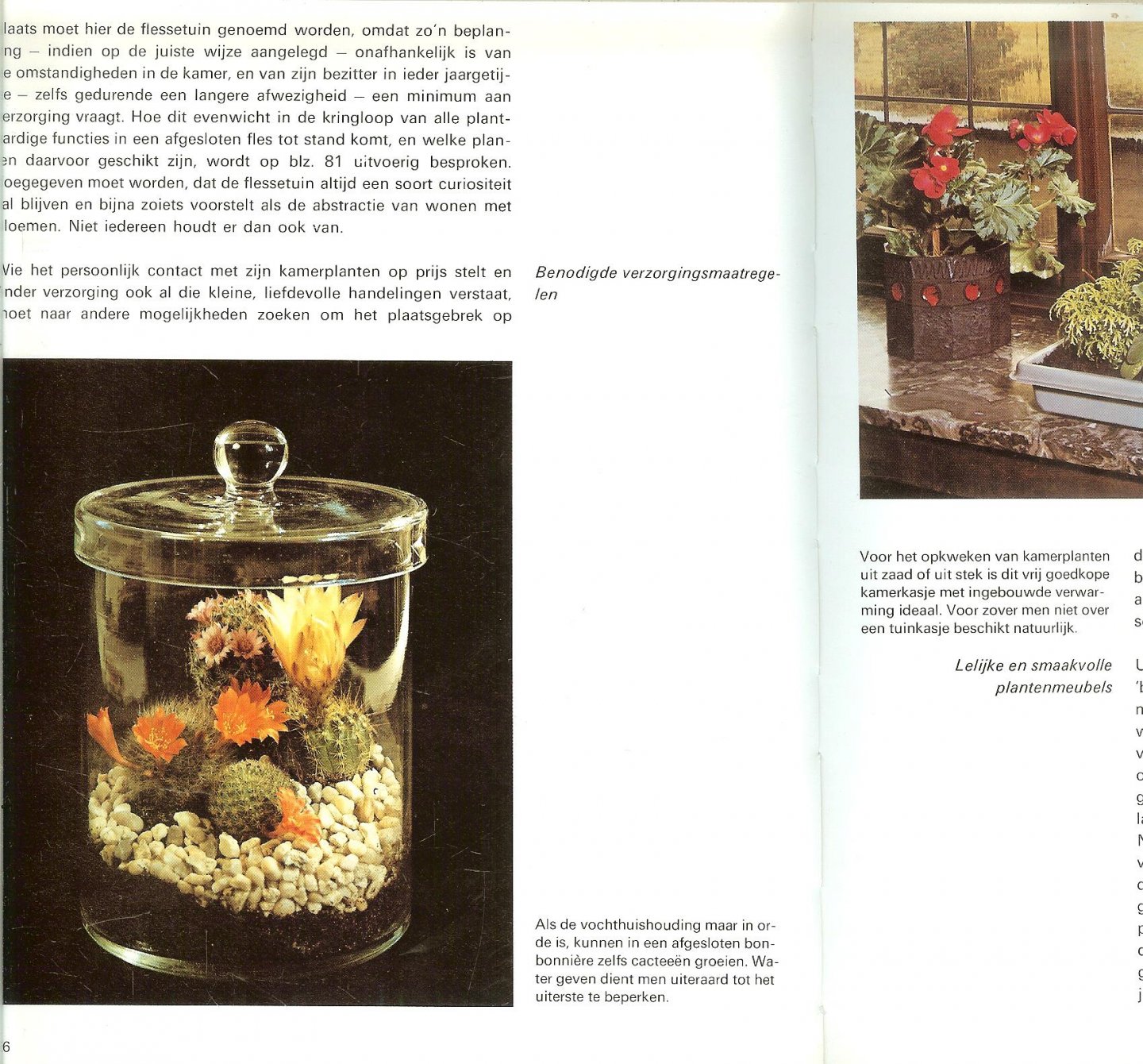 Herwig, Rob & Schubert, Margot - Het grote kamer plantenboek .. Met meer dan 1000 kamerplanten en hun verzorging