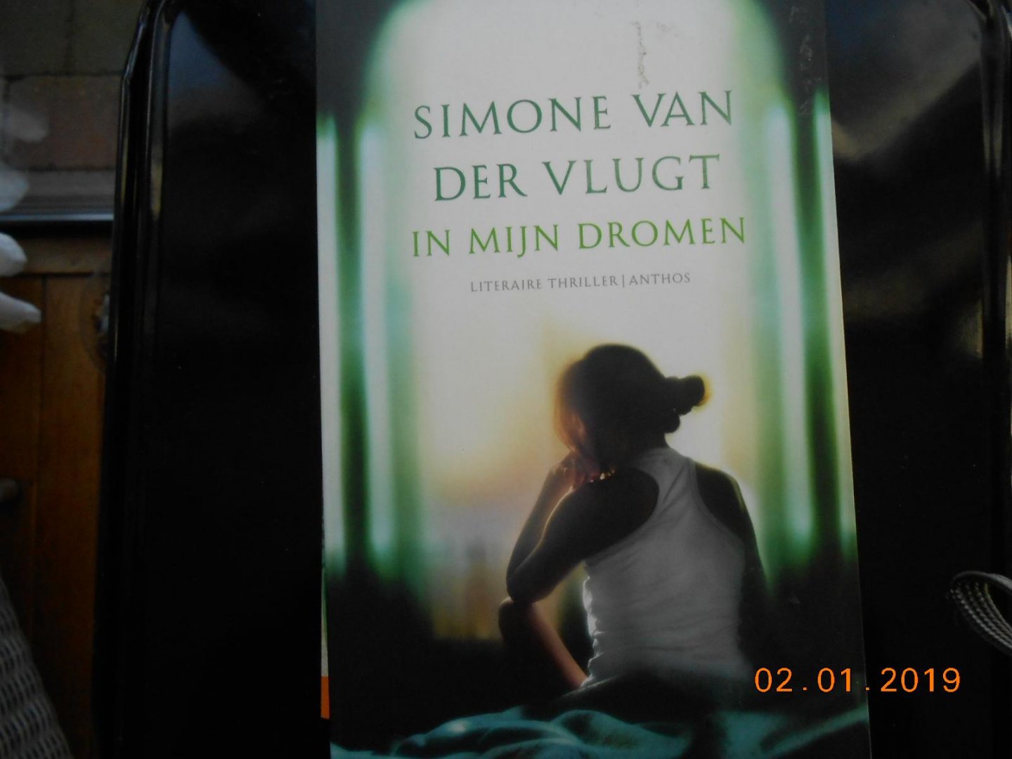 Simone van der Vlugt - In mijn dromen