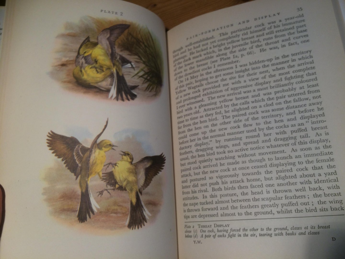 Smith, Stuart - The Yellow Wagtail, New Naturalist Monograph 4