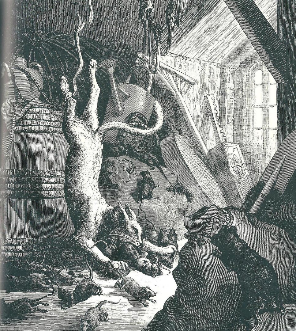 Hodgson, Barbara - The rat : a perverse miscellany / collected by Barbara Hodgson