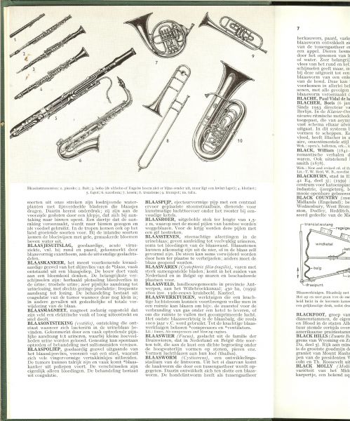 Hoetink  Prof. Mr. H. R. Amsterdam  en  Prof. Dr. R. F. Lissens  te Brussel   Prachtig geillustreerd met zwart wit foto's en Tekeningen - De nieuwe Winkler Prins. Encyclopedie in 5 delen. dit is deel II