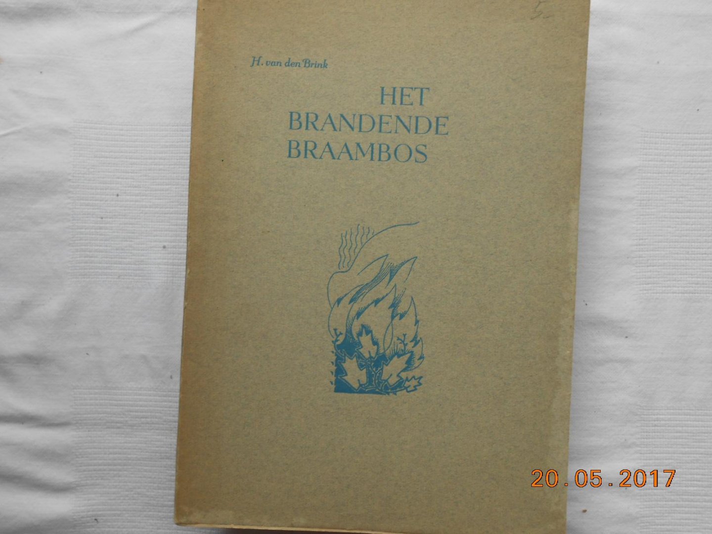 H van den Brink - Het brandende braambos