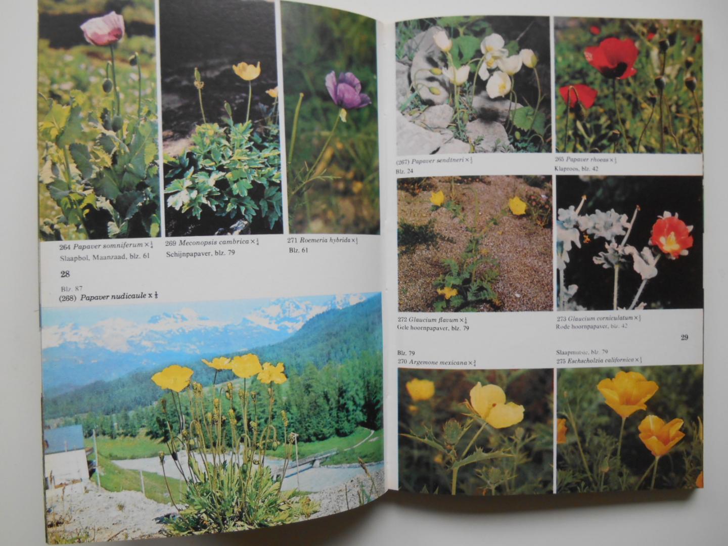 Polunin, Oleg - Plantengids voor Europa - meer dan 1000 foto's in kleur